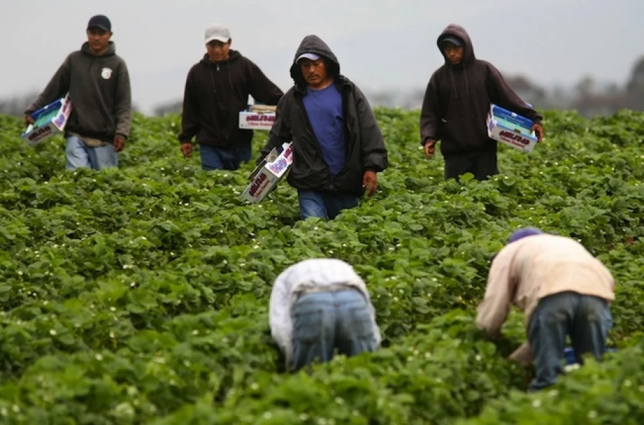 También se fortalecen las capacidades del gobierno de México para mantener informados y proteger a sus nacionales en Estados Unidos