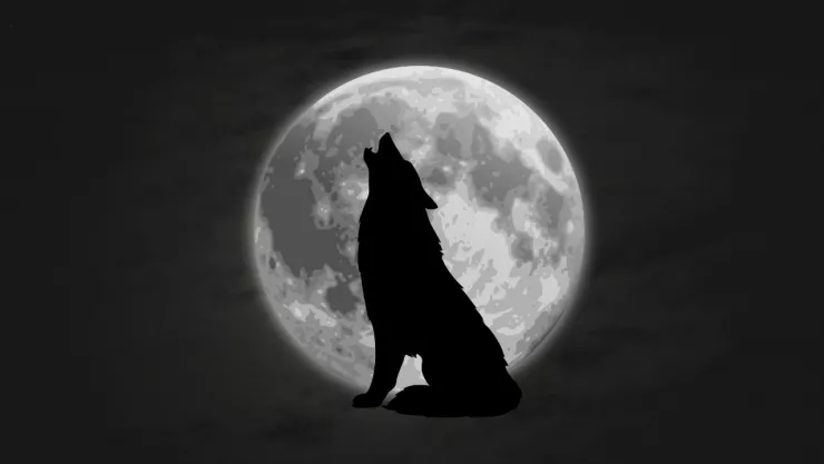 ¿Cuándo será la primera Luna llena del año 2024?