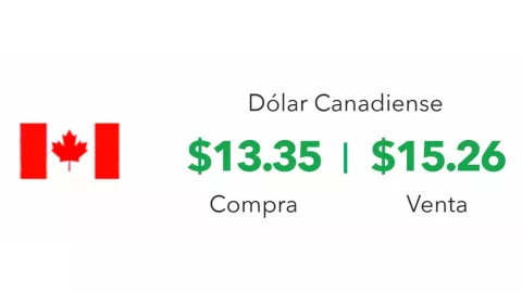 Precio del dólar en México hoy 25 de noviembre 2024; tipo de cambio