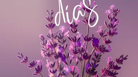 Imágenes de feliz jueves para WhatsApp y redes sociales