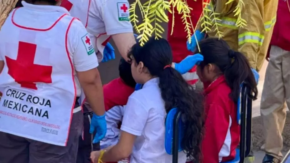 Intoxicación en primarias de Tijuana: niños afectados tras consumir alimentos en mal estado