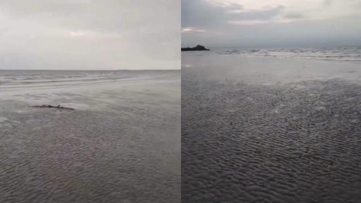 Mar se aleja de playa Antón Lizardo, Veracruz ¿Qué sucede?