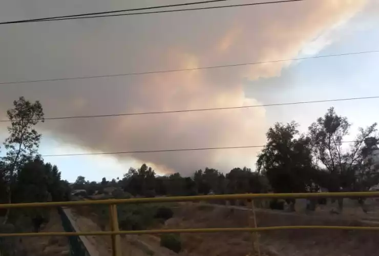 Ocho incendios forestales afectan al país: Conafor