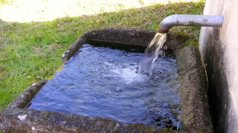 ¿Qué hacer ante un corte de agua en Guadalajara o Zapopan?
