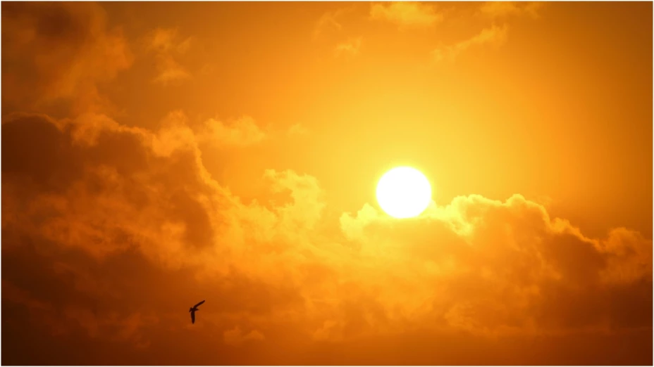 ¡Saca la sombrilla! Esta es la fecha en la que llegará la Primera Onda de Calor en 2024