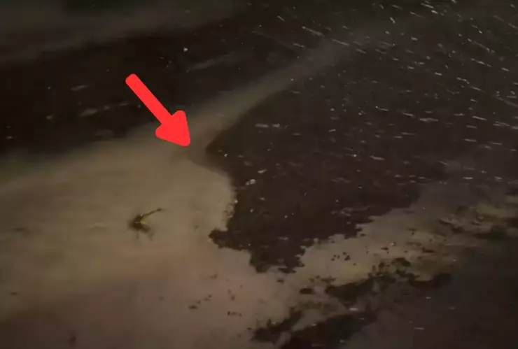 BAHÍA DE TAMPA EN FLORIDA