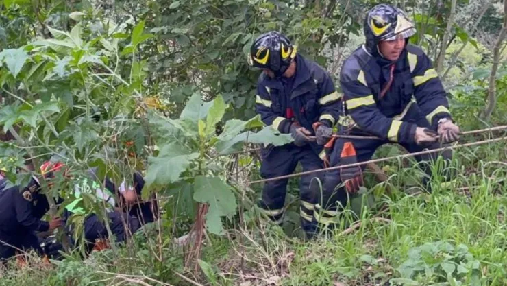 Joven cae de un barranco en el Bosque de Chapultepec y se fractura las cervicales