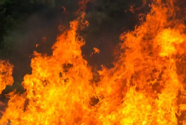 Incendio en colonia Reforma de Tijuana deja a una persona con quemaduras hoy lunes 21 de abril de 2025