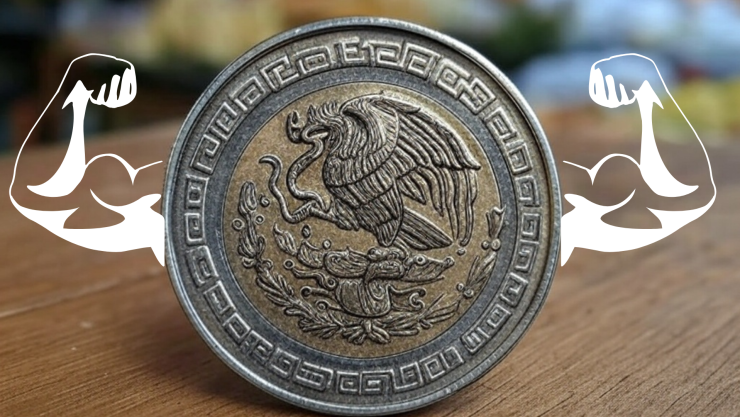 Precio dólar Michoacán 12 junio 2025 consulta el tipo de cambio y las divisas más populares.png