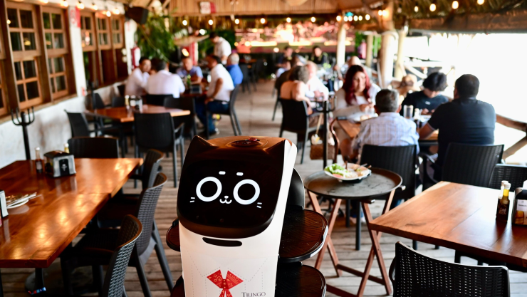 Así es Tilingo, el robot que sorprende a comensales en Veracruz.