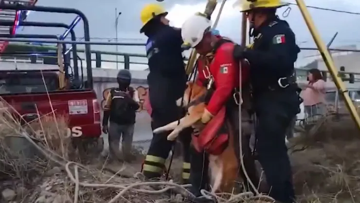 bomberos
