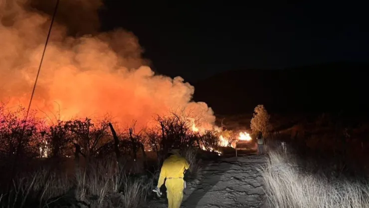 Fuego arrasa con predios de Mazamitla; 50 brigadistas se encuentran en el Cerro El Canelo HOY 13 de mayo