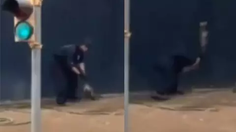 Detienen a sujeto por matar a un tlacuache