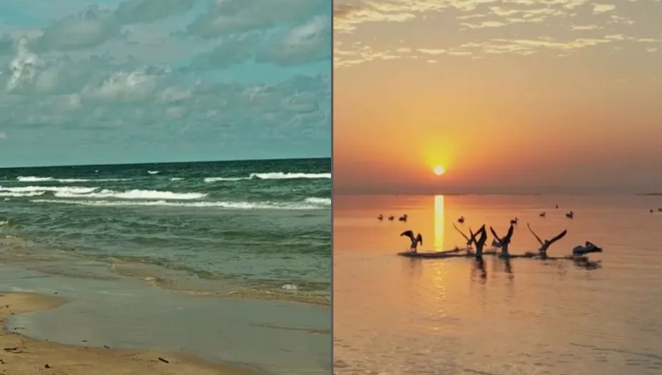 /viajes/las-4-mejores-playas-tamaulipas-vacaciones-invierno-2025