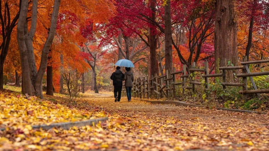 otoño-2021.jpg