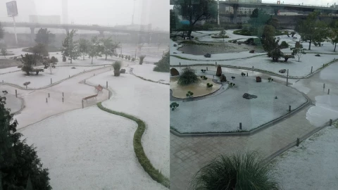 León Granizada Guanajuato.jpg