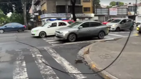 Así está el cable del Trolebús tirado en el Eje 5, donde un auto quedó destruido tras atorarse en él