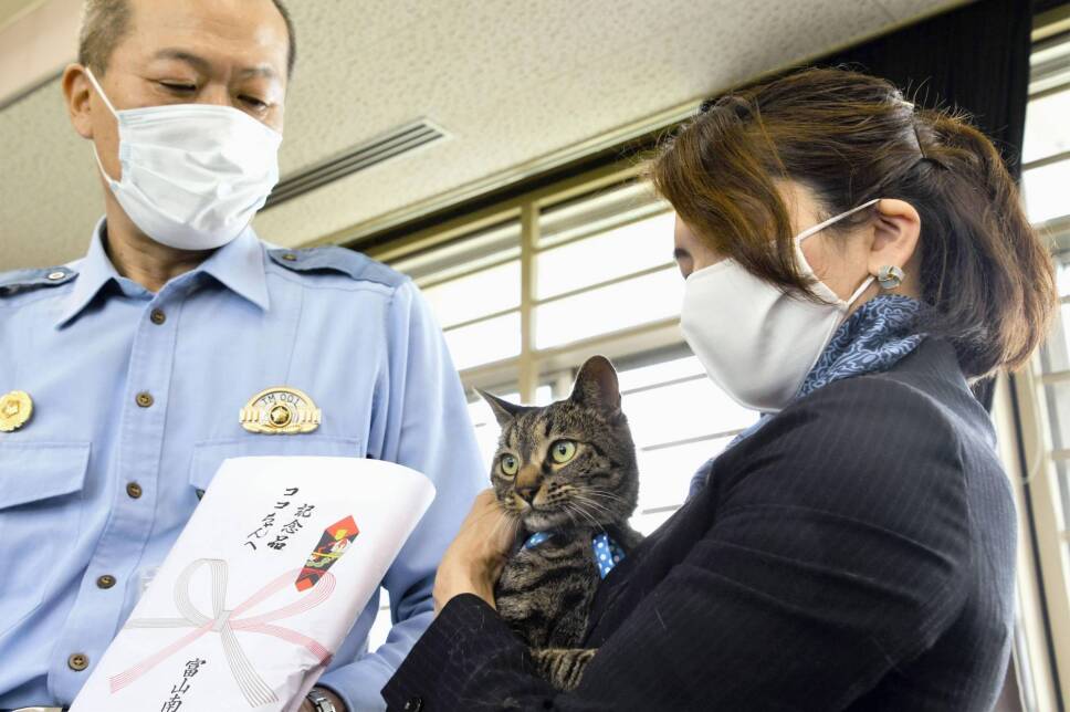 Tomoko Nitta y su gato Koko