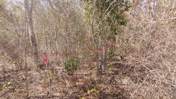 Revelan nuevos detalles de la pareja que fue ASESINADA en Campeche; así los encontraron