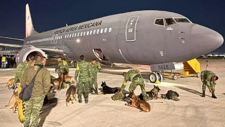 La mañana de este martes 7 de febrero despegó el avión de la Fuerza Aérea Mexicana con rescatistas y ayuda humanitaria rumbo a Turquía.