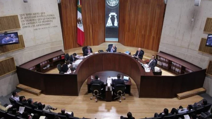 tribunal electoral ine revocacion de mandato.jpg