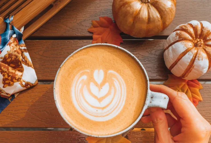 pumpkin spice