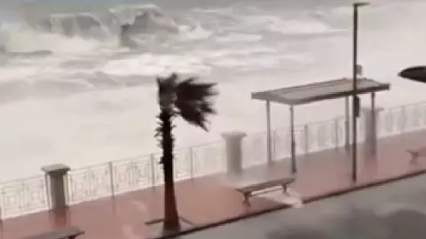 PORTADA tormenta harry video.jpg