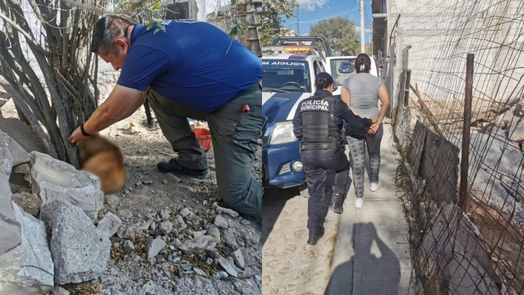 Detienen y multan con 70 mil pesos a mujer que dejó morir a su perro en Querétaro