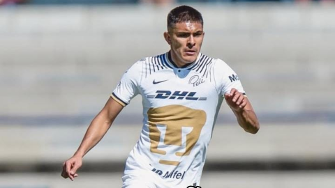 Pumas