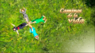 caminos de la vida
