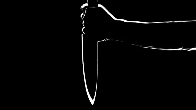 Hombre mata a su hermana y la desmembra