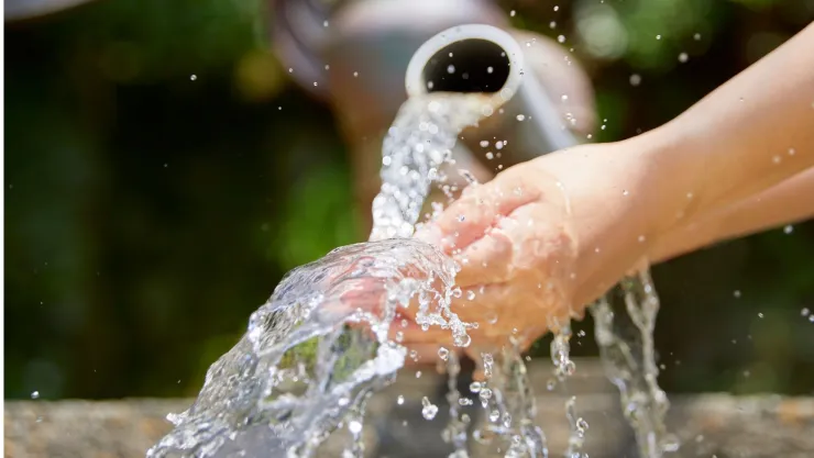 Suspensión agua.jpg