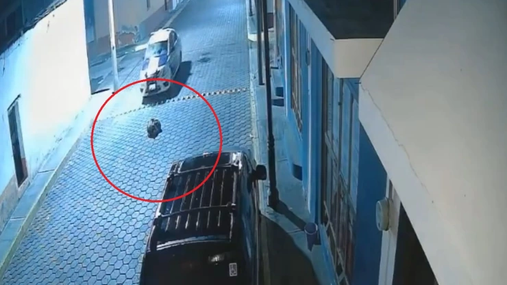 muere perrito atropellado tlaxcala video