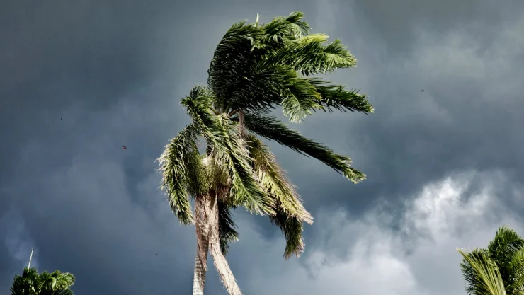Se forma tormenta Lidia y deja fuertes lluvias en México