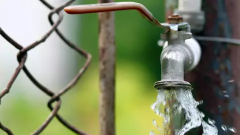 Escasez de agua afecta Chihuahua