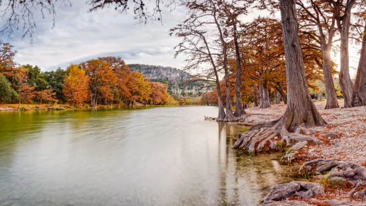 La Flora de San Antonio.