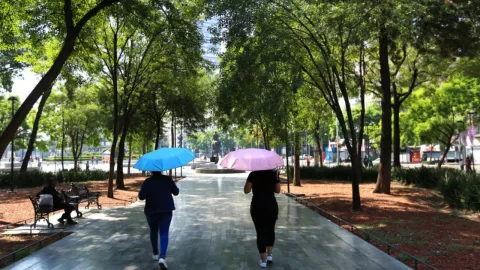 Nueva onda de calor sacude a M&eacute;xico y afecta el clima