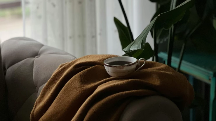 ¡Sigue el descenso de la temperatura! Este es el pronóstico del clima en Jalisco de hoy viernes 27 de diciembre de 2024