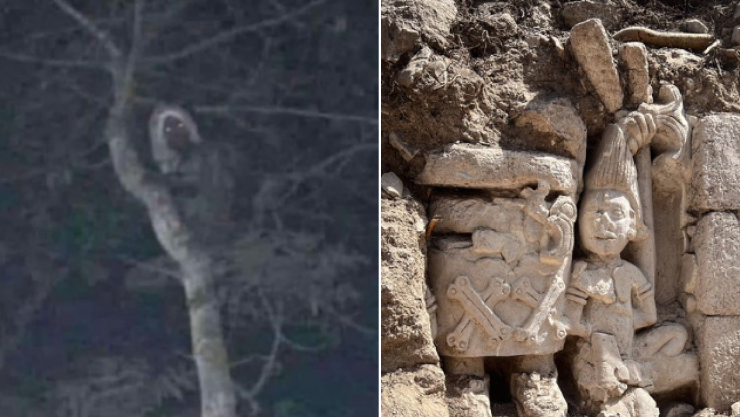 Se viraliza foto de un Alux en Quintana Roo, así luce este duende maya