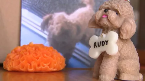 Crean velas personalizadas de mascotas para ofrenda de Día de Muertos