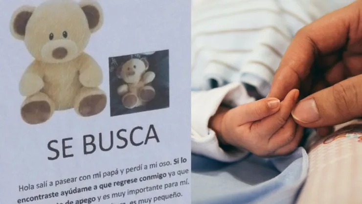Se busca oso de peluche que perdió niño de 2 años en las calles de Toluca.