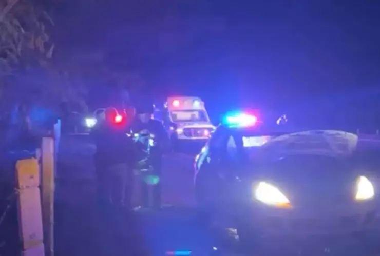 Carro con cuerpos en el interior