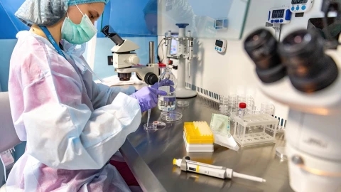 OMS publica informe que alerta que una de cada seis personas en el mundo padece esterilidad en algún momento de su vida