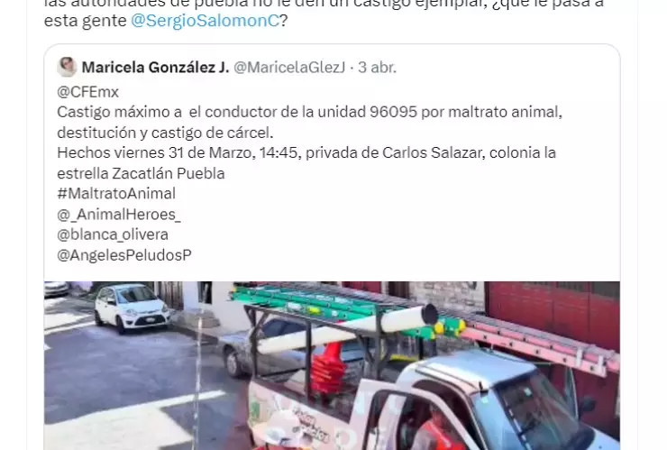 Ricardo Salinas Pliego pide “castigo ejemplar” al operador de la CFE que golpeó a un perrito