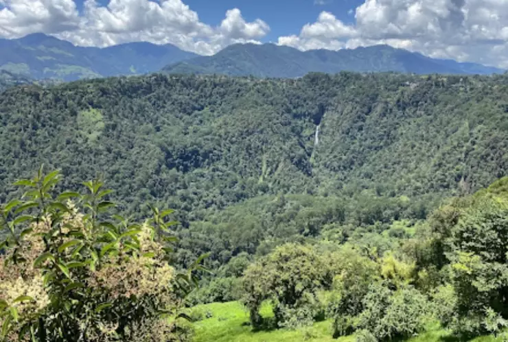 La Barranca de los Jilgueros, en el Pueblo Mágico de Zacatlán, cautiva con sus miradores, neblina constante y vistas increíbles.