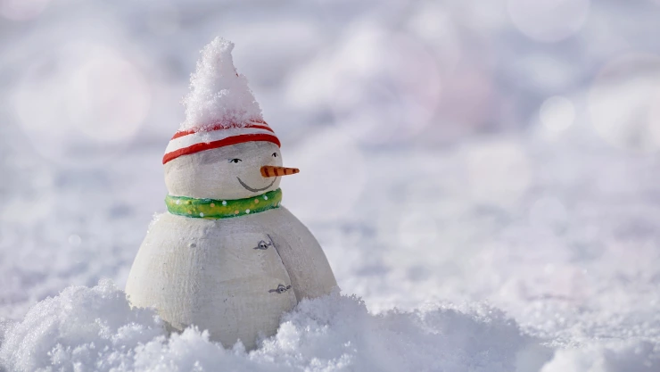 snowman-3008179_1920.jpg