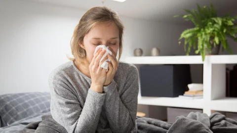 Alergias estacionales en Chiapas: ¿Por qué aumentan durante la primavera?