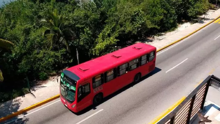 Restablecen servicios de transporte público en Quintana Roo tras impacto de Beryl.jpg