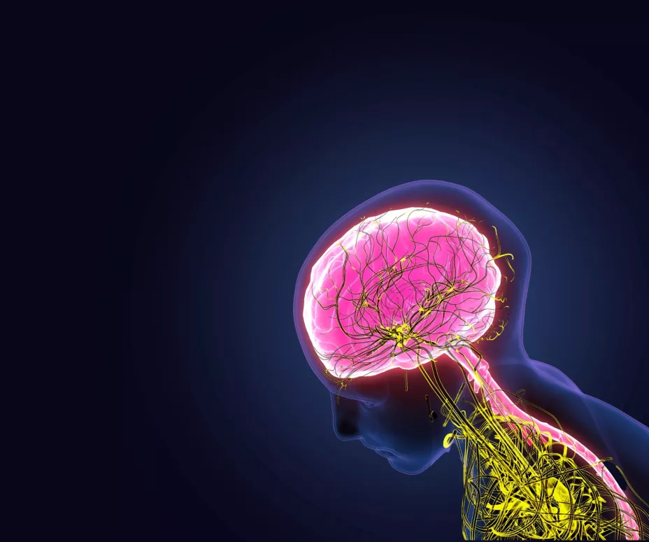 unnamed - 2024-04-29T110907.280.jpg