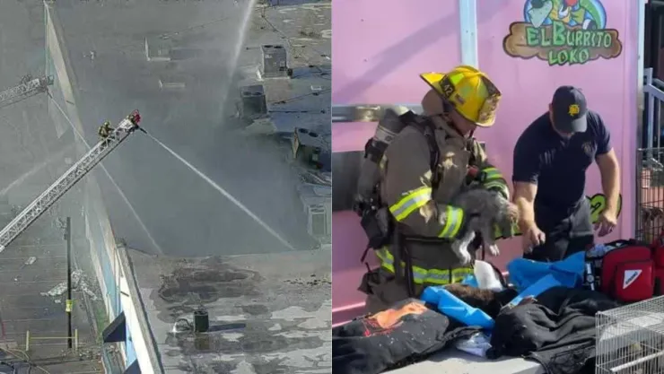 Fuerte incendio en centro comercial causó la muerte de más de 500 animales en Dallas, Texas.